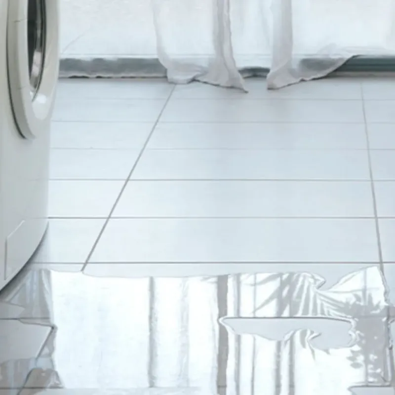 Appliance Leak Cleanup in Rosemont, CA