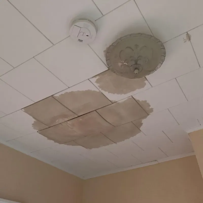 Ceiling Water Damage Repair in Rosemont, CA